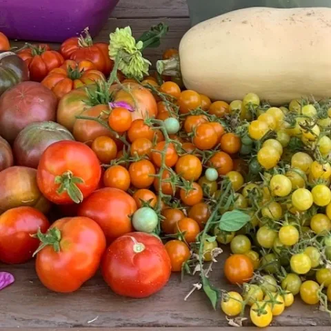 Growing warm season vegetables, Laura W