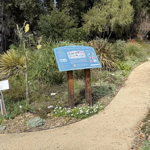 native design, N.Kawakita