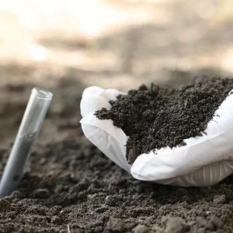 soil health thumbnail