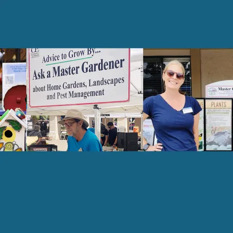 Compilation of birdhouses, master gardeners smiling and helping people