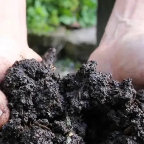 Person holding compost in their hands