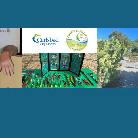 Compilation photo of a smiling man, logos, adaptive tools, garden with a wide path