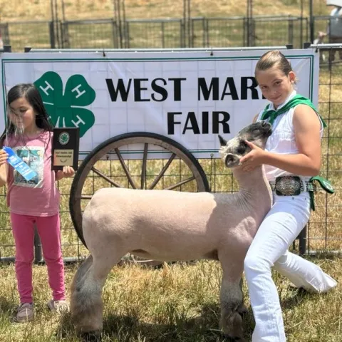 West Marin Fair Participant with her sheep in front of a West Marin Fair banner