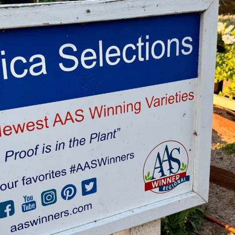 A sign that says All America Selections