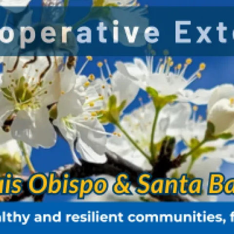 University of California Cooperative Extension San Luis Obispo and Santa Barbara Newsletter March 2026 Banner