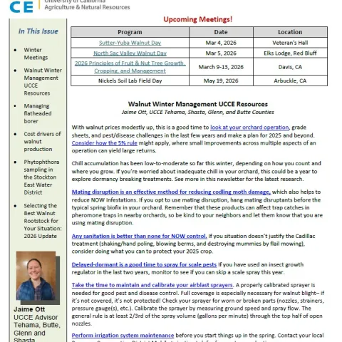 Walnut News - Winter 2026