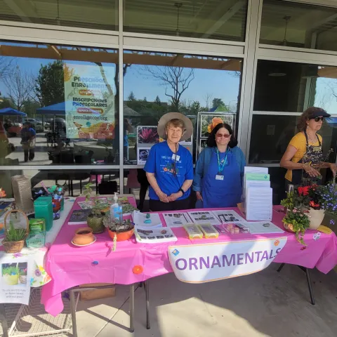 Master Gardener Activity Tables at the Tulare Library Springfest