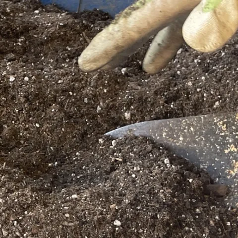 learn how to create and use compost for your home garden