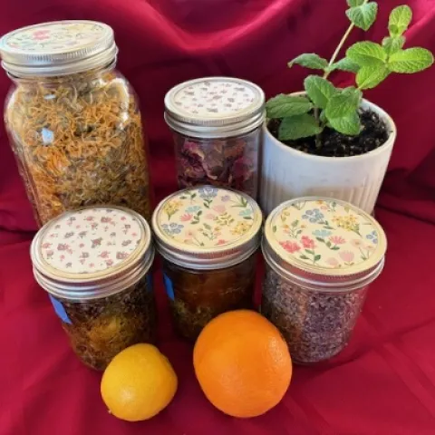 Botanical body scrubs