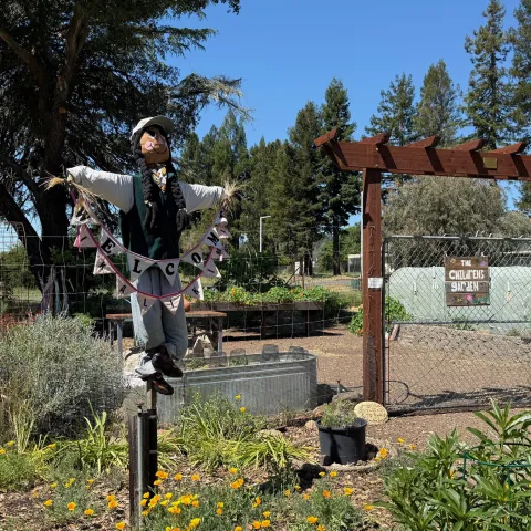Front gate to a children's garden with a scarecrow in the foreground