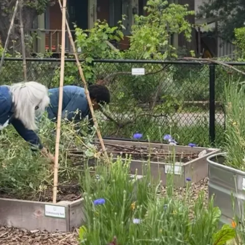 Group of volunteers working in the garden