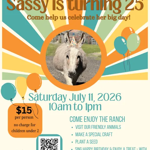 Sassy, our donkey is turning 25