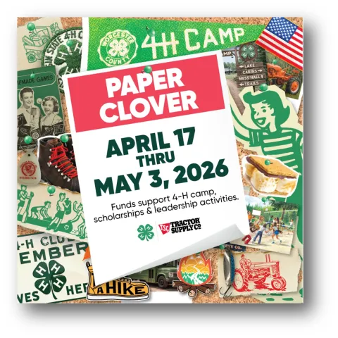 Promotional graphic for a 4-H Paper Clover fundraiser showing a collage of camp-themed images (badges, boots, campfire, tractor, American flag, and kids playing). Center text reads “Paper Clover” with dates “April 17 thru May 3, 2026.” Smaller text notes that funds support 4-H camp, scholarships, and leadership activities, with 4-H and Tractor Supply Co. logos at the bottom.