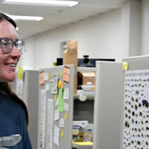Emeline Huffaker greets guests at the Bohart Museum of Entomology.