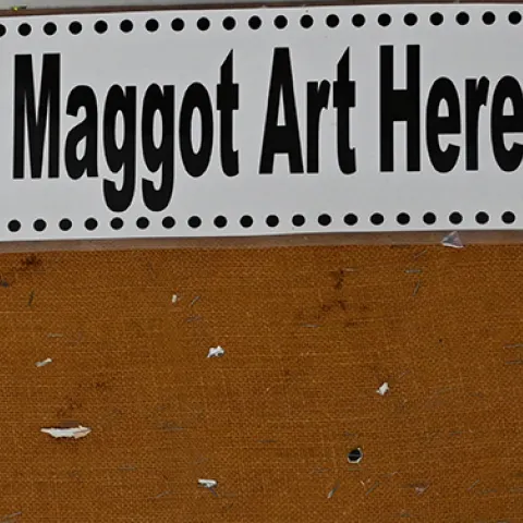 Maggot art masterpieces drying on bulletin board.