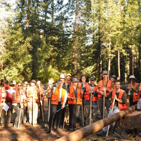 Forest Stewardship workshop participants at an in-person field day.