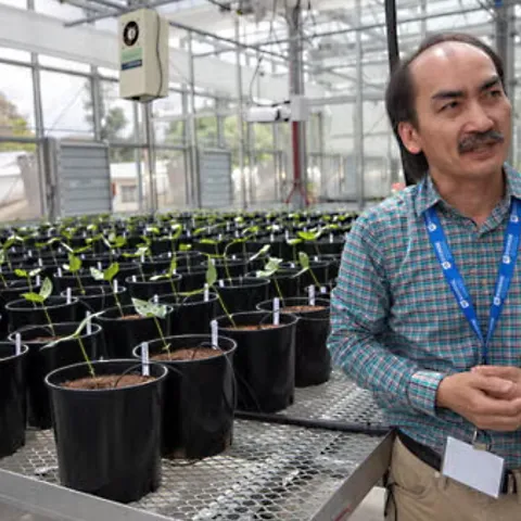 Bao-Lam Huynh at his lab at UC Riverside (Photo by UC Riverside)