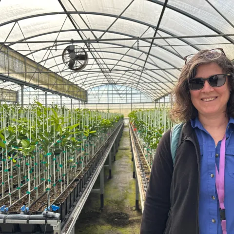 A woman stands in a greenhouse. Tables of growing plants are behind her.