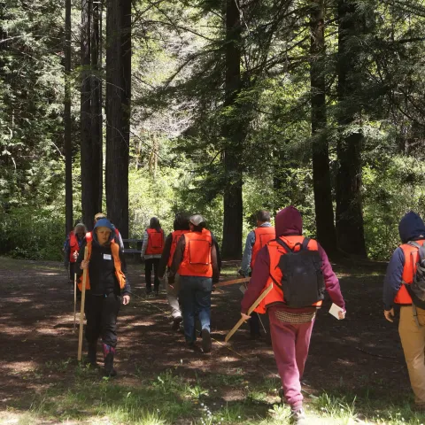 Workshop participants count how many paces they walk along 100 ft. 