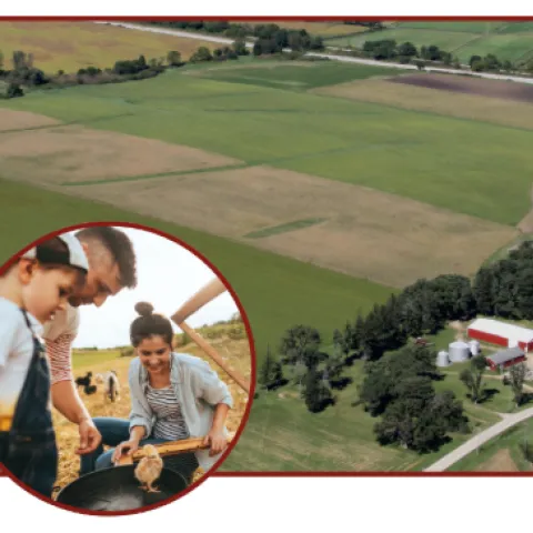 Fields, crops, farmers, and wildlife