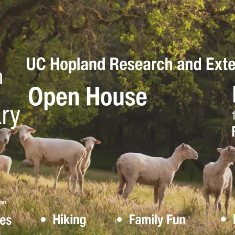 A field of grazing sheep in oak woodland with text overlaid "75th Anniversary, UC Hopland Research and Extension Center, Open House, May 17th, 10am-2pm, FREE! Nature activities, hiking, family fun and hands-on learning. Logo of the UC Research and Extension Centers, University of California Agriculture and Natural Resources.