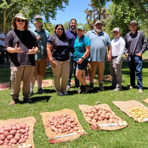 Leonel Jimenez (center) smiles with the potato variety trial team as potatoes are displayed on burlap sacks on the grass