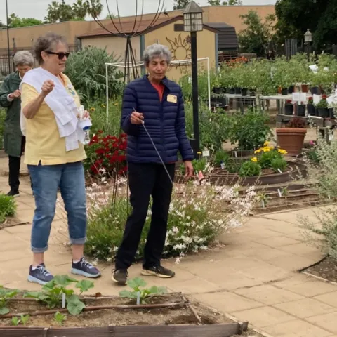 Master Gardeners in the Garden of the Sun