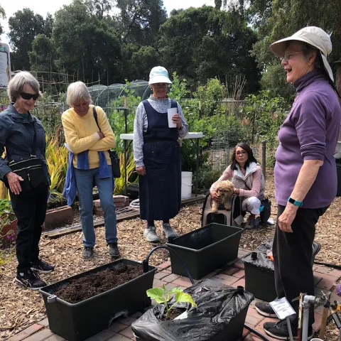 us master gardeners santa clara , palo alto