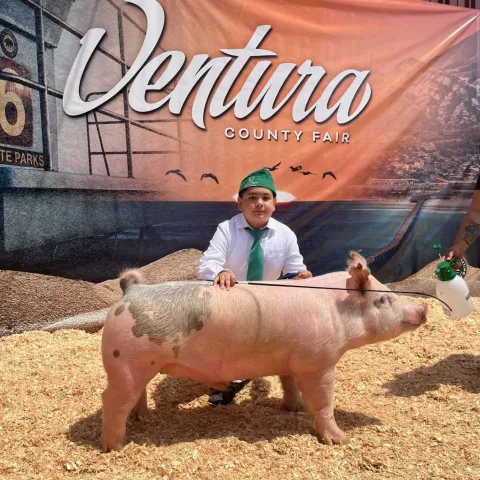 4-H member posing with his animal