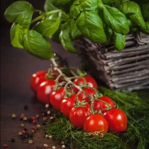 Tomatoes and oregano on a table with Basil in a basket and 