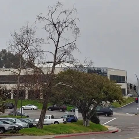 Rainy day in San Diego