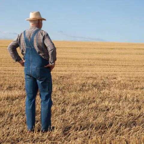 back view of a farmer standing in a field