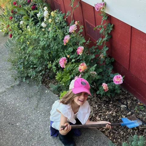 child digging in a garden bed with a child-sized shovel