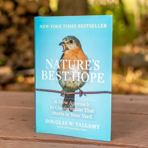 Cover of a book called 'Nature's Best Hope', with a yellow-chested bird on the cover of a light blue book, sitting on a picnic table.