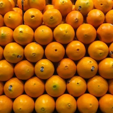 Oranges in a grocery store. (Photo by Kathy Keatley Garvey)