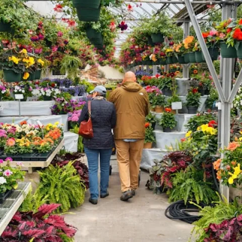 Older couple walking away through a colorful plant nursery