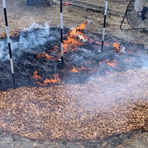 redwood bark (non-composted mulch) produces flames once ignited