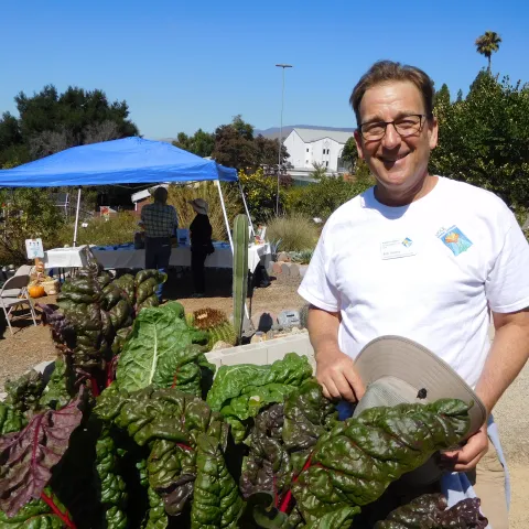a man standing in a garden holding freshly harvested lettuce