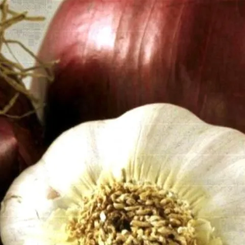 Growing garlic and onions 