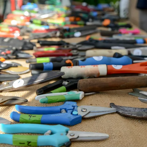 Closeup of many colorful gardening hand tools on a table.