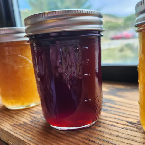 Backlit jars of red pomegranate jelly and orange peach jam on a wooden windowsill.