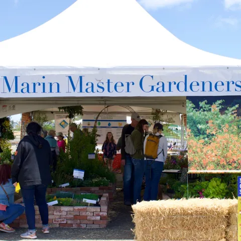Master Gardener booth at the Marin County Fair