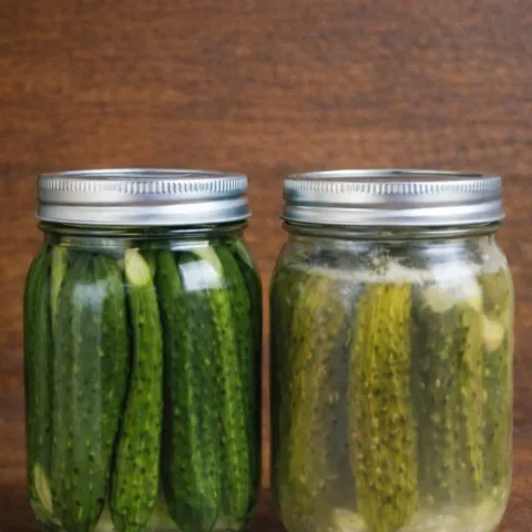 Two jars of cucumber pickles side by side: refrigerator pickles left, fermented pickles right.