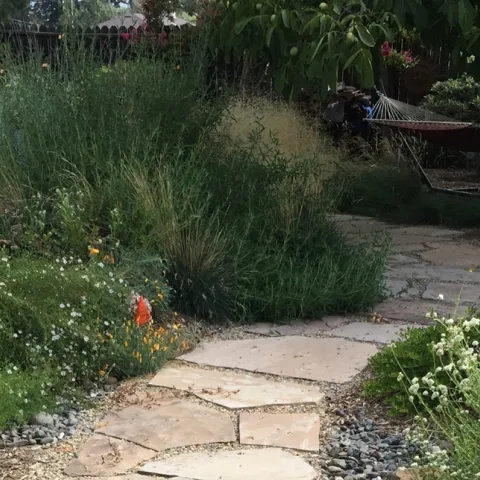Flowering shrubs and paved curving walkway