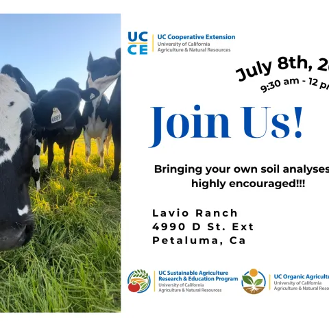 Imagine of a dairy cow on pasture with text that says Join Us! Bringing your own soil analyses is highly encouraged!!! July 8th, 2026 9:30am - 12pm. Lavio Ranch 4990 D St. Ext Petaluma, CA