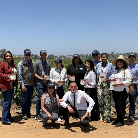 Eleven people stand, some holding baskets of strawberries, and two people squat in front in front of a strawberry field.