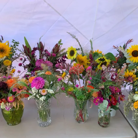 cut flowers in vases