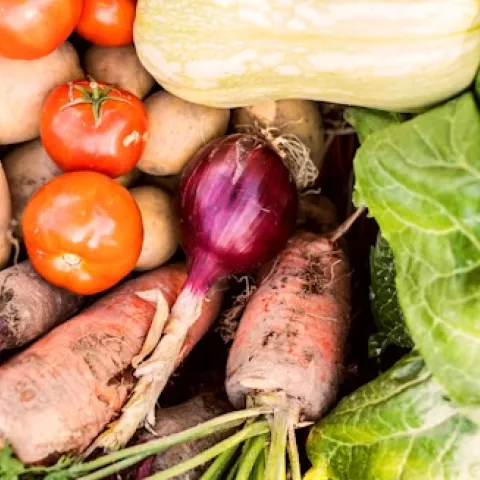 Basket of home grown vegetables