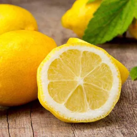 lemon