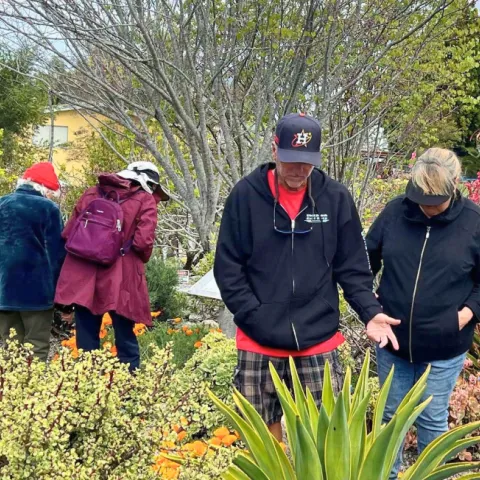 people browsing in a garden